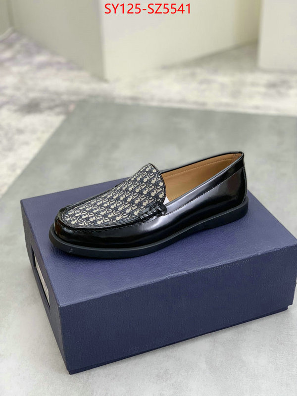 Men shoes-Dior buy top high quality replica ID: SZ5541 $: 125USD