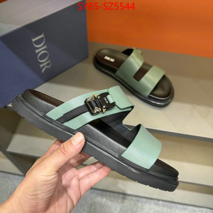 Men shoes-Dior copy aaaaa ID: SZ5544 $: 85USD