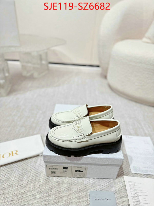 Women Shoes-Dior best quality replica ID: SZ6682 $: 119USD