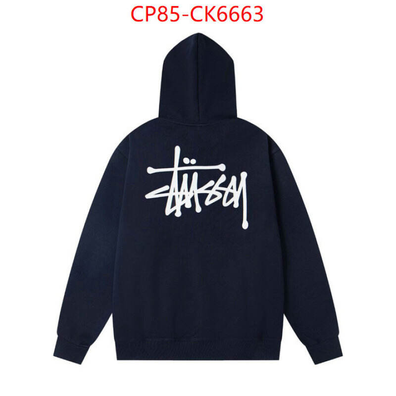 Clothing-Stussy wholesale china ID: CK6663 $: 85USD