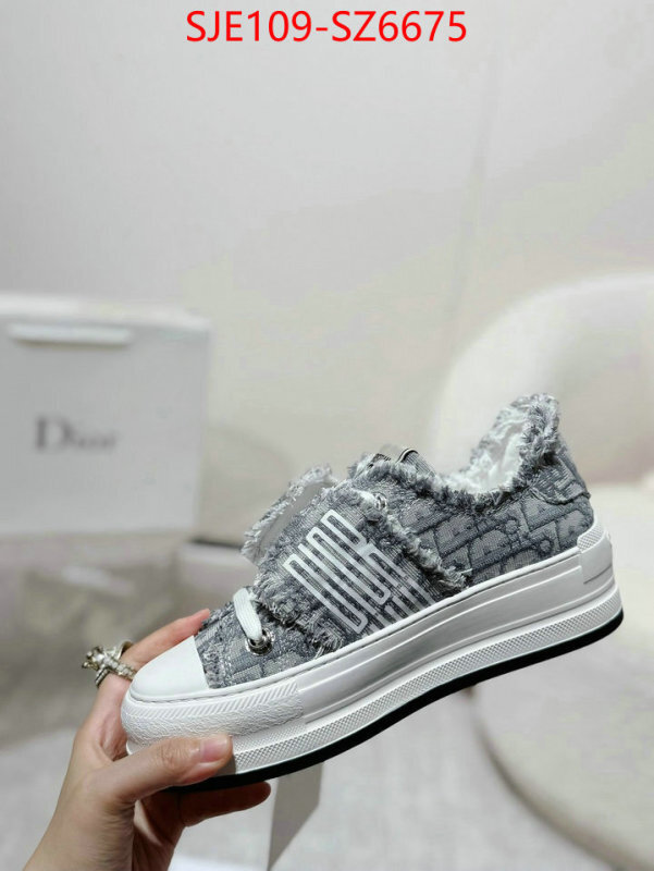 Women Shoes-Dior mirror copy luxury ID: SZ6675 $: 109USD