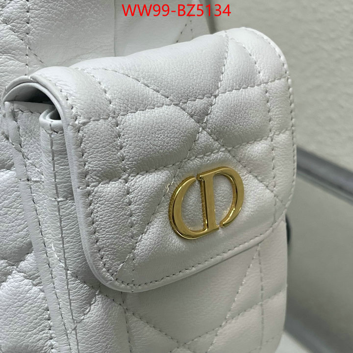 Dior Bags(4A)-Crossbody- good quality replica ID: BZ5134 $: 99USD,