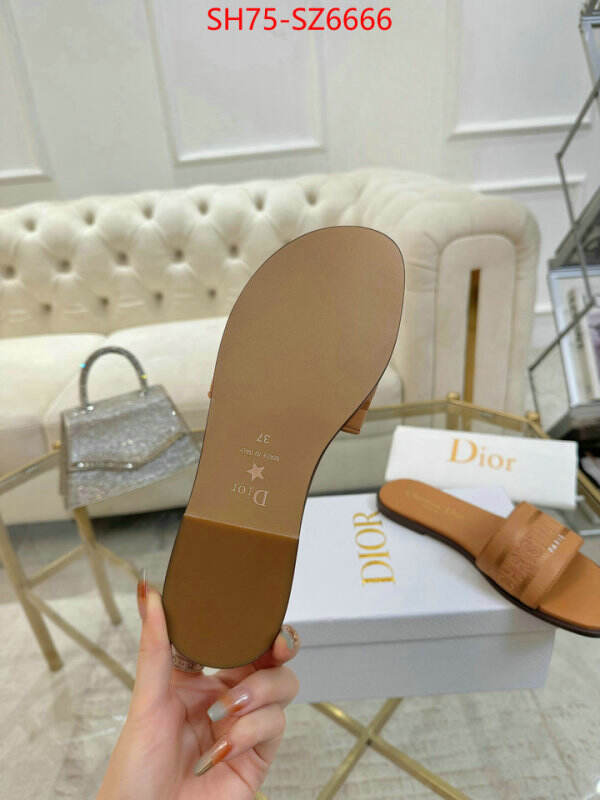 Women Shoes-Dior can you buy replica ID: SZ6666 $: 75USD