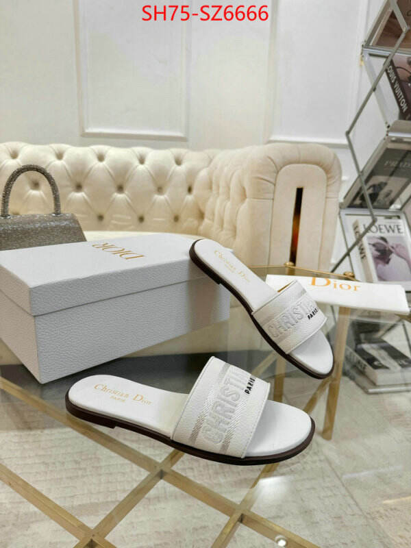 Women Shoes-Dior can you buy replica ID: SZ6666 $: 75USD