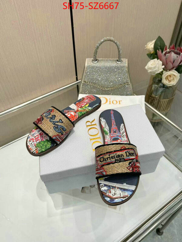 Women Shoes-Dior sale outlet online ID: SZ6667 $: 75USD