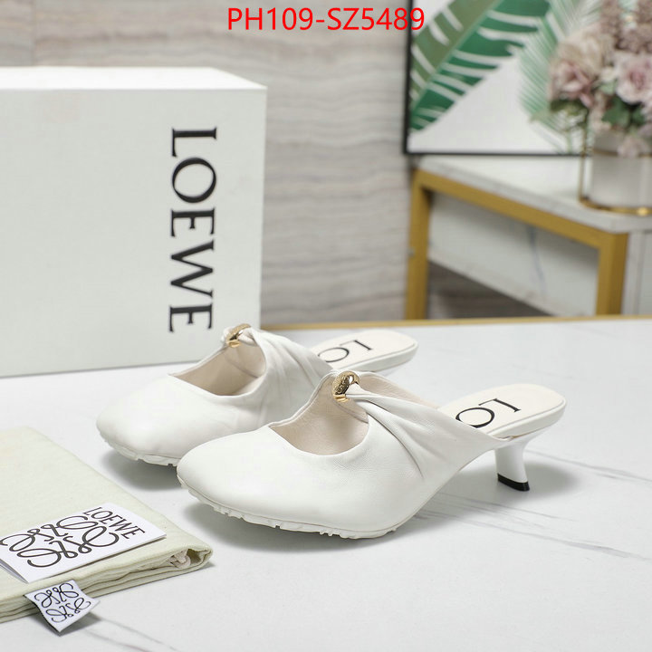 Women Shoes-Loewe best fake ID: SZ5489 $: 109USD