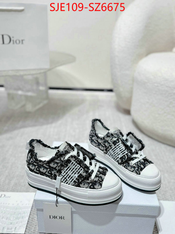 Women Shoes-Dior mirror copy luxury ID: SZ6675 $: 109USD