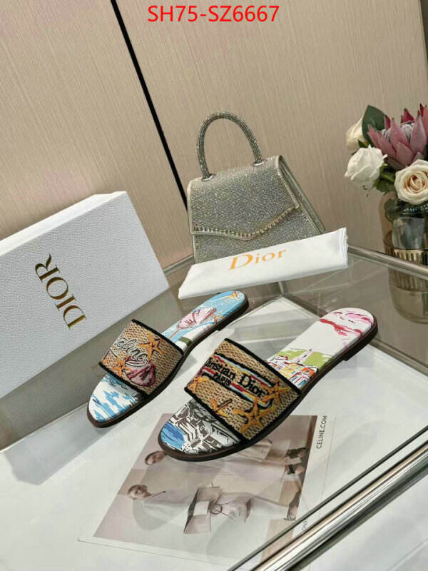 Women Shoes-Dior sale outlet online ID: SZ6667 $: 75USD