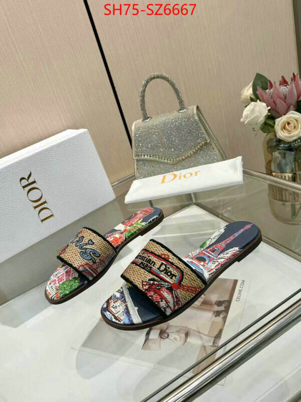 Women Shoes-Dior sale outlet online ID: SZ6667 $: 75USD