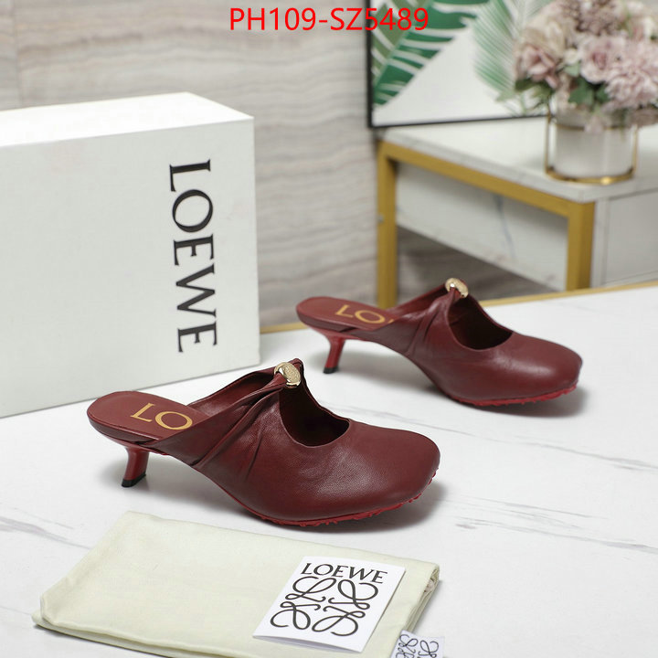 Women Shoes-Loewe best fake ID: SZ5489 $: 109USD