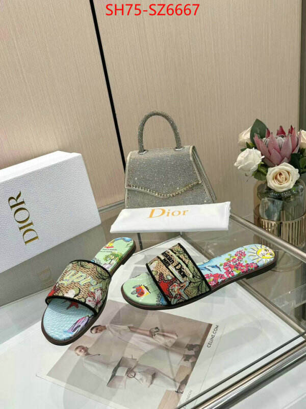 Women Shoes-Dior sale outlet online ID: SZ6667 $: 75USD