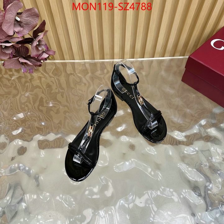 Women Shoes-Gucci 2024 luxury replicas ID: SZ4788 $: 119USD