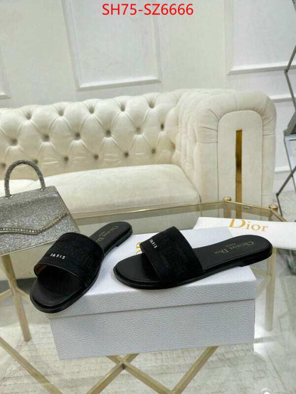 Women Shoes-Dior can you buy replica ID: SZ6666 $: 75USD