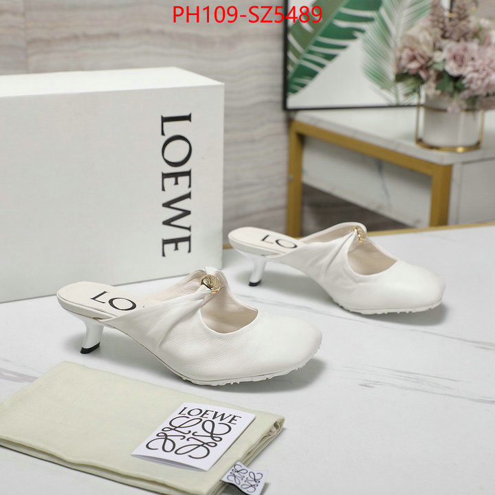 Women Shoes-Loewe best fake ID: SZ5489 $: 109USD