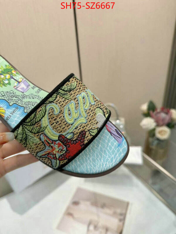 Women Shoes-Dior sale outlet online ID: SZ6667 $: 75USD