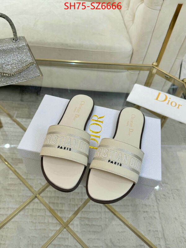 Women Shoes-Dior can you buy replica ID: SZ6666 $: 75USD