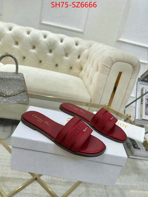 Women Shoes-Dior can you buy replica ID: SZ6666 $: 75USD