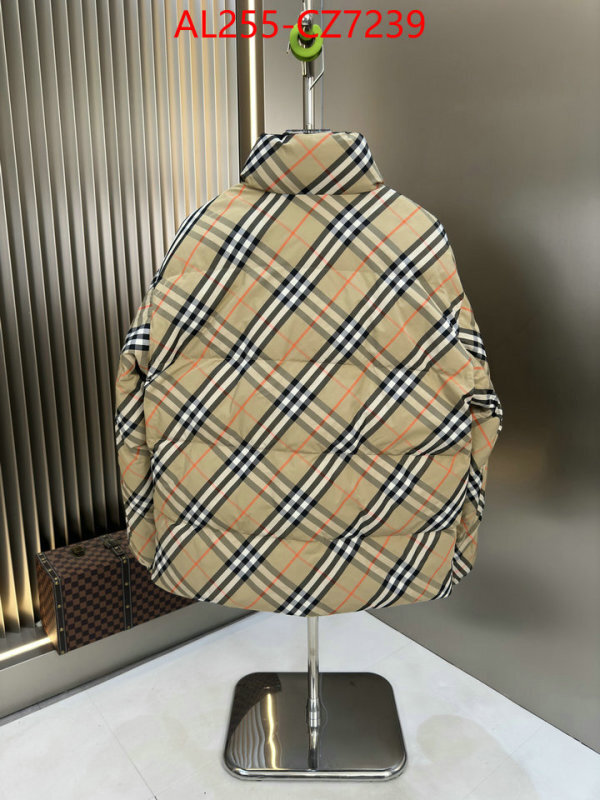 Down jacket Men-Burberry replica online ID: CZ7239 $: 255USD