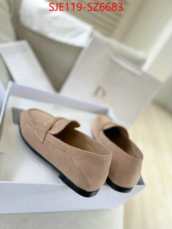 Women Shoes-Dior online shop ID: SZ6683 $: 119USD