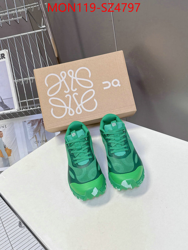 Women Shoes-Loewe online ID: SZ4797 $: 119USD