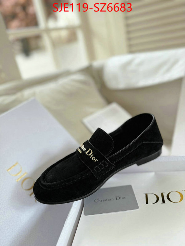 Women Shoes-Dior online shop ID: SZ6683 $: 119USD
