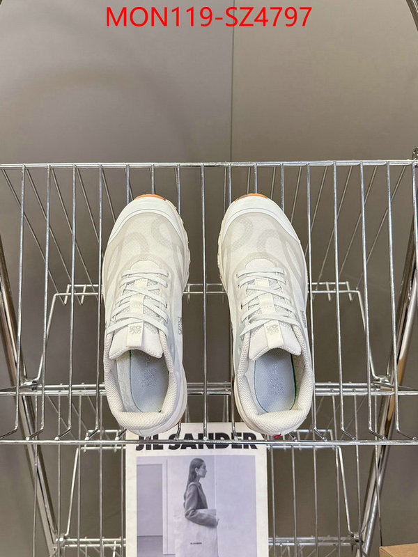 Women Shoes-Loewe online ID: SZ4797 $: 119USD