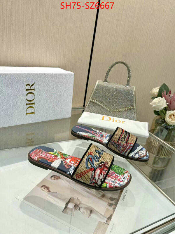 Women Shoes-Dior sale outlet online ID: SZ6667 $: 75USD