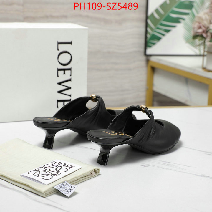 Women Shoes-Loewe best fake ID: SZ5489 $: 109USD