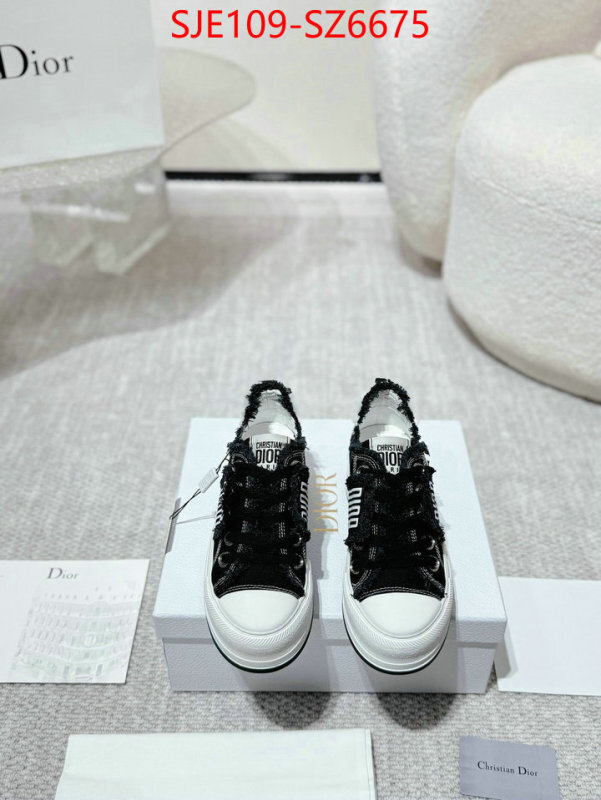 Women Shoes-Dior mirror copy luxury ID: SZ6675 $: 109USD