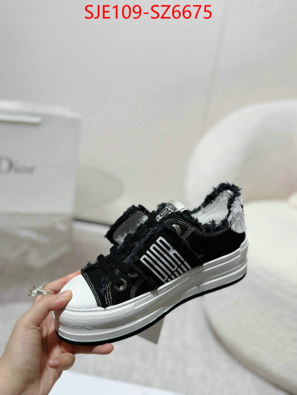 Women Shoes-Dior mirror copy luxury ID: SZ6675 $: 109USD