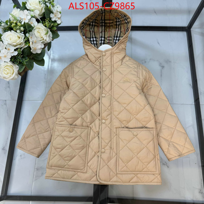 Kids clothing-Down jacket high quality ID: CZ9865 $: 105USD