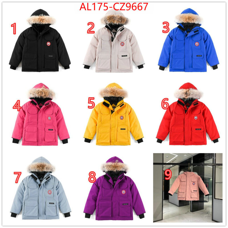 Kids clothing-Down jacket best replica 1:1 ID: CZ9667 $: 175USD