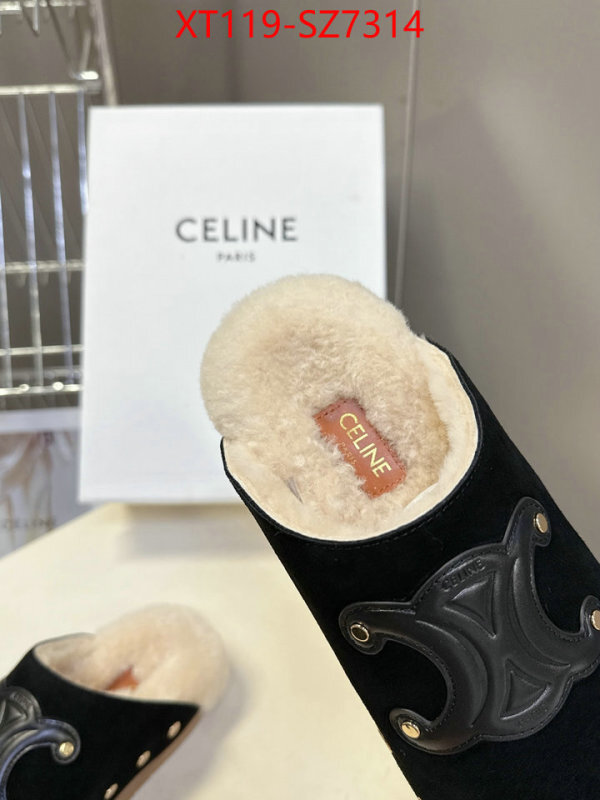 Women Shoes-CELINE what is top quality replica ID: SZ7314 $: 119USD
