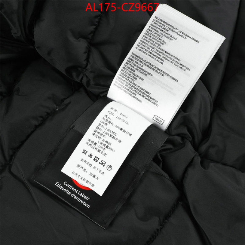 Kids clothing-Down jacket best replica 1:1 ID: CZ9667 $: 175USD
