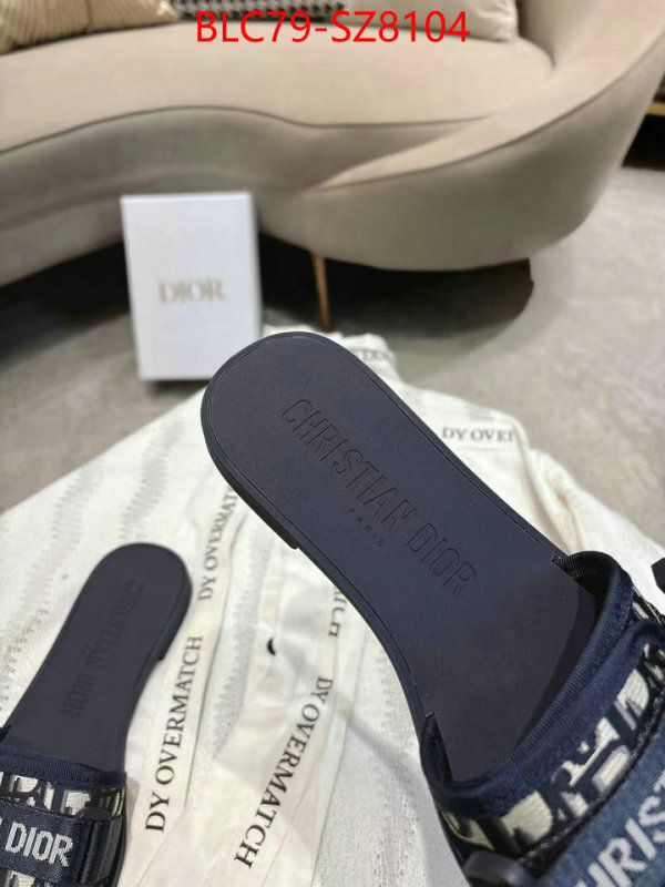 Women Shoes-Dior the online shopping ID: SZ8104 $: 79USD