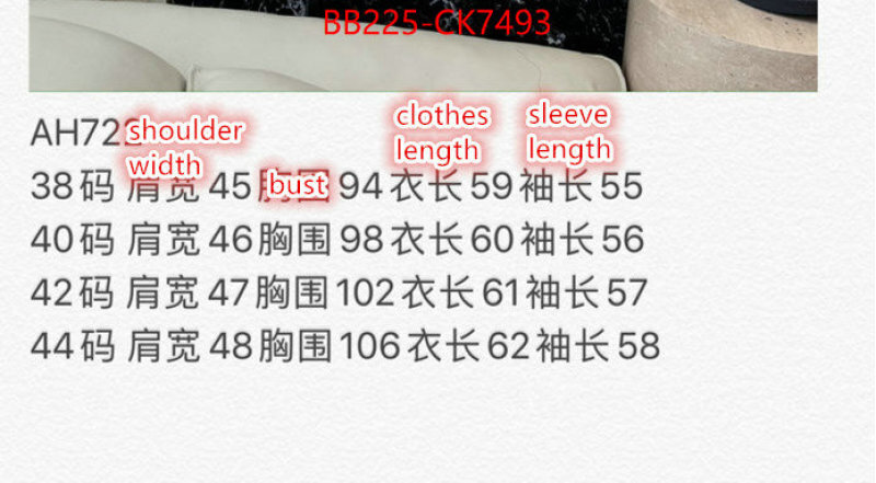 Down jacket Women-Prada find replica ID: CK7493 $: 225USD