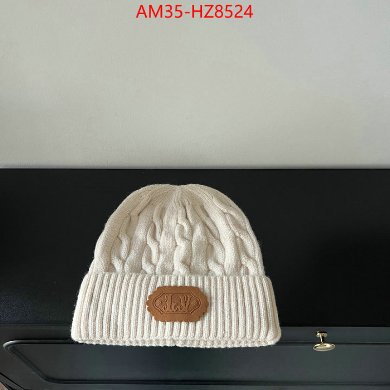 Cap(Hat)-LV ID: HZ8524 $: 35USD