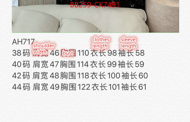 Down jacket Women-Prada cheap online best designer ID: CK7491 $: 259USD