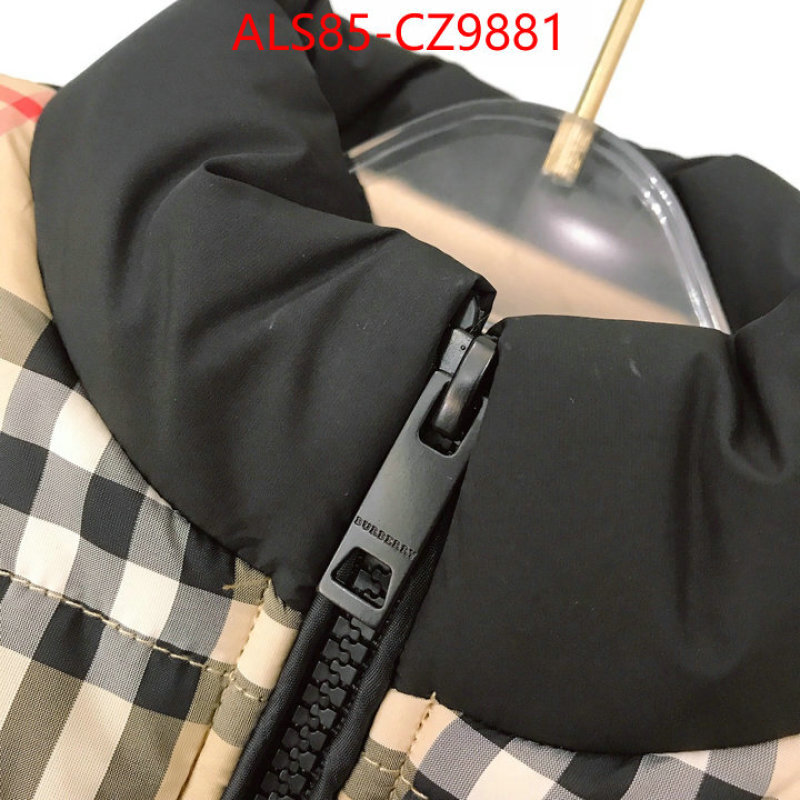 Kids clothing-Down jacket designer 1:1 replica ID: CZ9881 $: 85USD