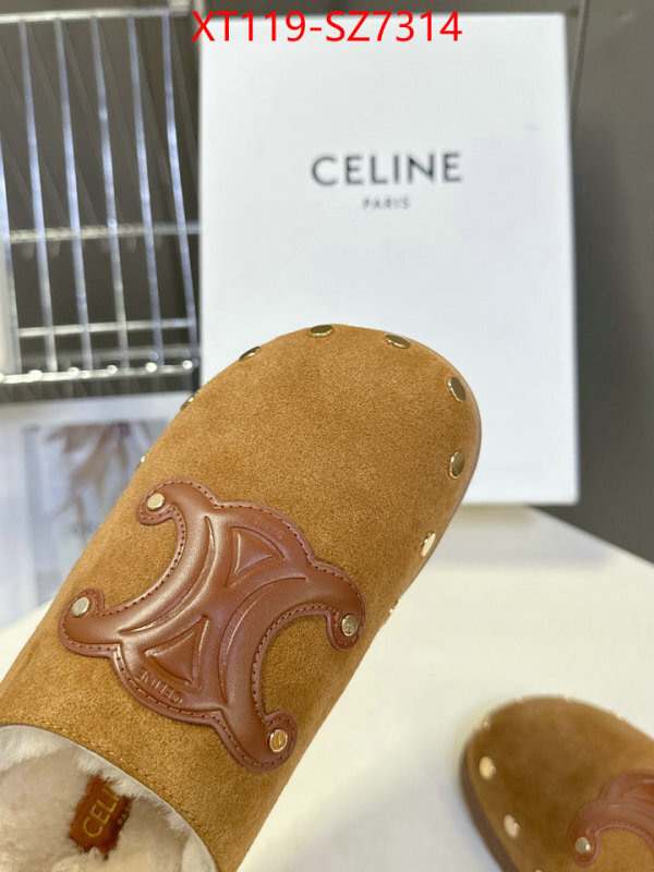 Women Shoes-CELINE what is top quality replica ID: SZ7314 $: 119USD