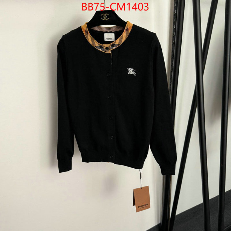 Clothing-Burberry replica online ID: CM1403 $: 75USD