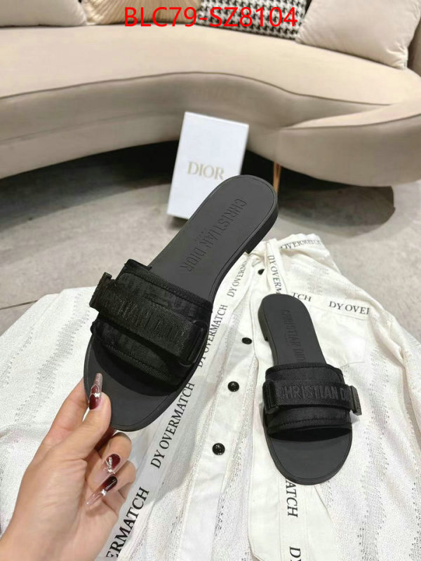 Women Shoes-Dior the online shopping ID: SZ8104 $: 79USD