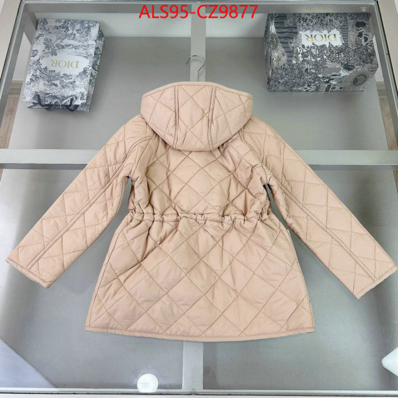 Kids clothing-Down jacket sellers online ID: CZ9877 $: 95USD