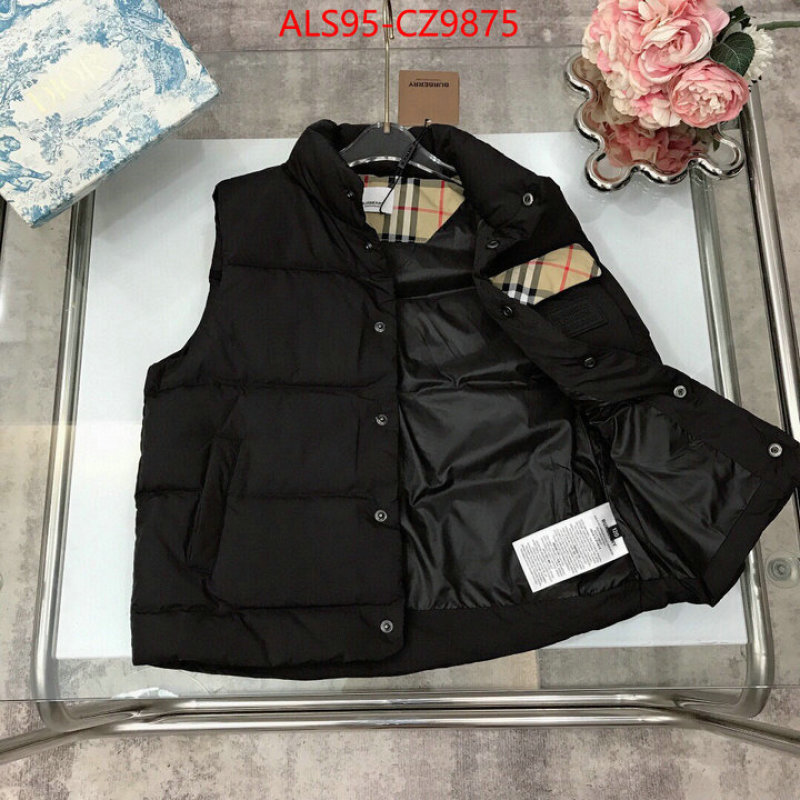 Kids clothing-Down jacket how to buy replica shop ID: CZ9875 $: 95USD