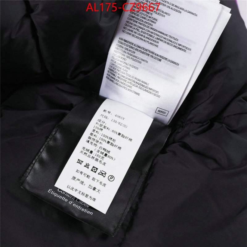 Kids clothing-Down jacket best replica 1:1 ID: CZ9667 $: 175USD