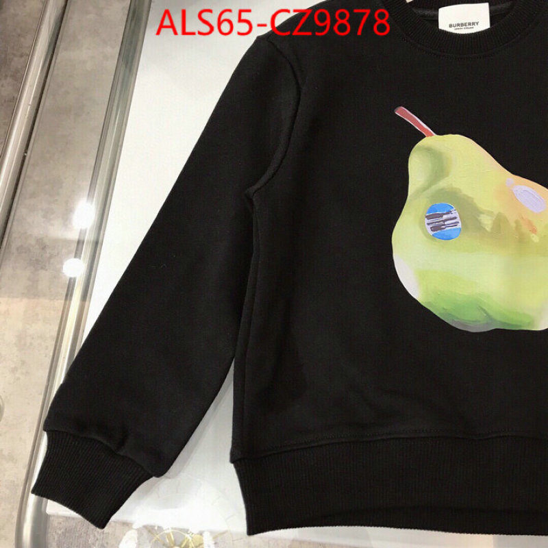 Kids clothing-Burberry best website for replica ID: CZ9878 $: 65USD