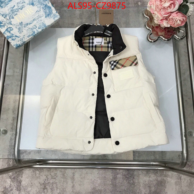Kids clothing-Down jacket how to buy replica shop ID: CZ9875 $: 95USD