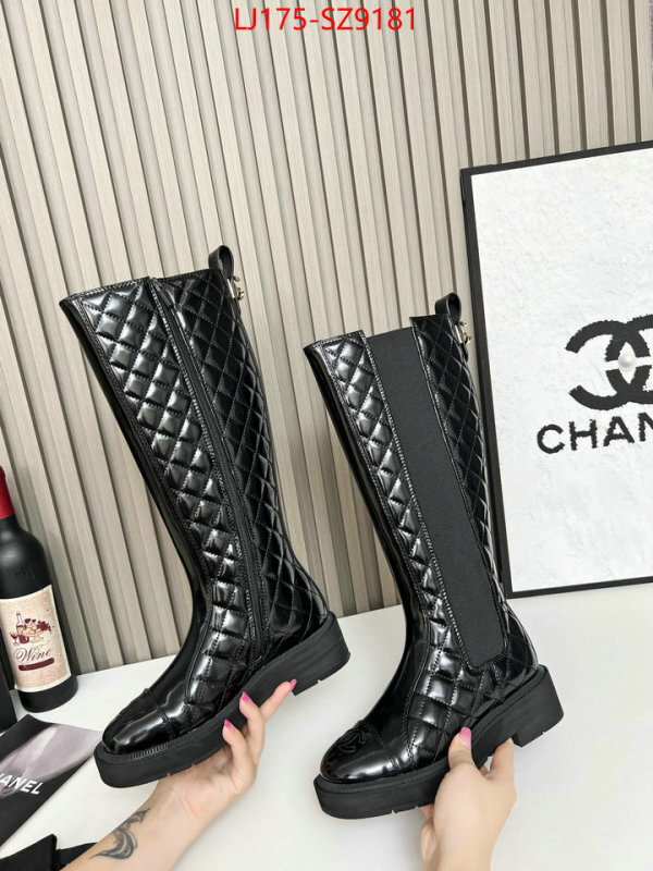 Women Shoes-Boots online from china ID: SZ9181 $: 175USD