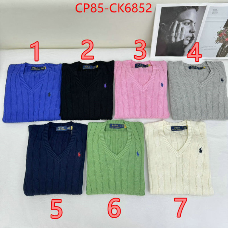 Clothing-Ralph Lauren the quality replica ID: CK6852 $: 85USD
