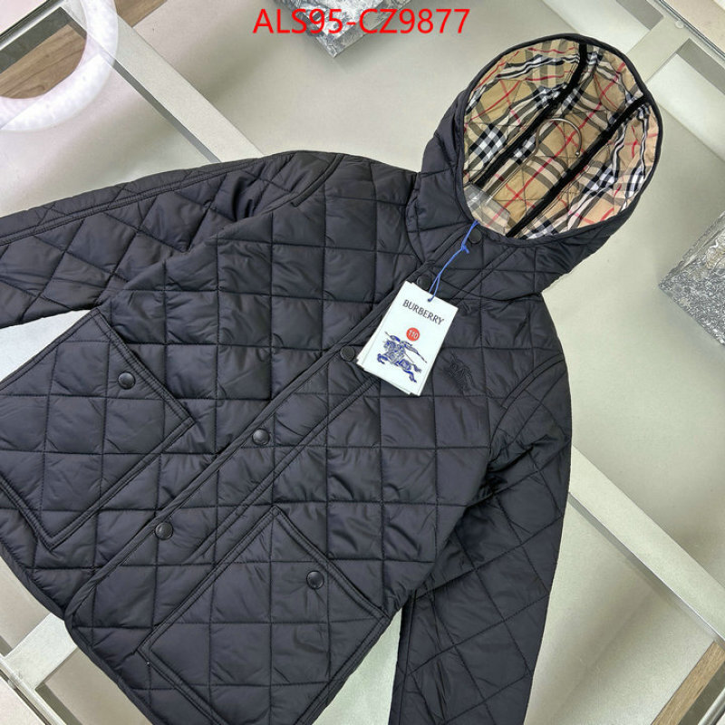 Kids clothing-Down jacket sellers online ID: CZ9877 $: 95USD